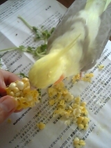 toumorokoshi2