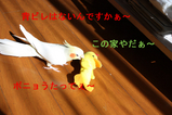 BlogPaint