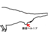 BlogPaint