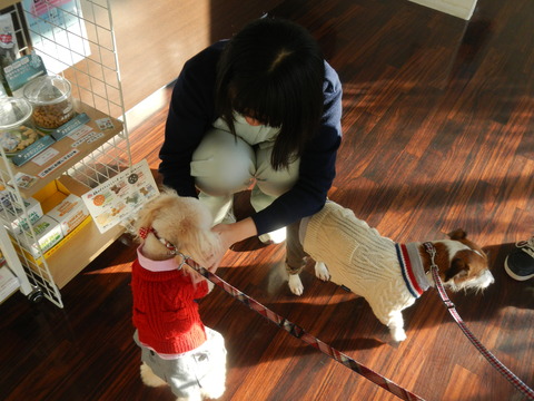 DSCN5354