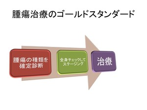スライド11