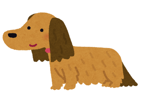 dog_dachshund_choumou