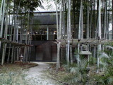 4e5a9528.jpg