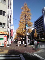 f4c8568d.jpg