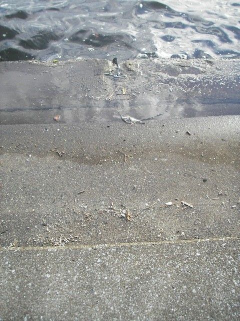 2011 002