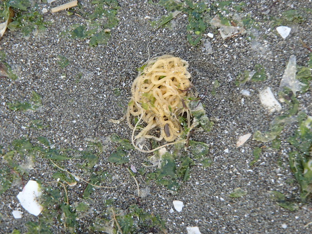 P1301349