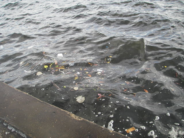 2011 001