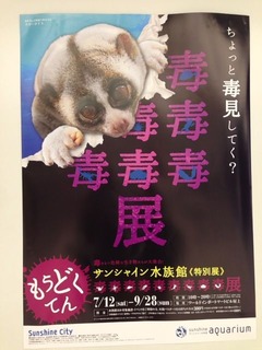 写真 1