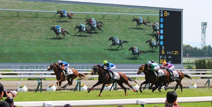 京都競馬場レース02