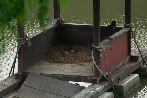 やっぱり気になる…