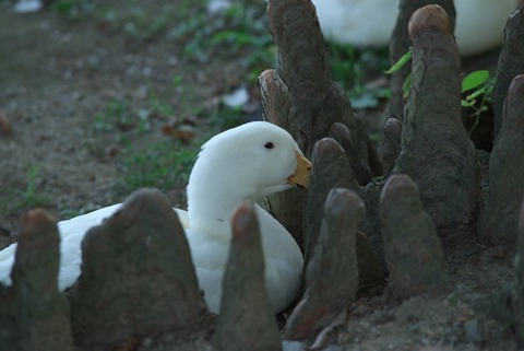 埋まってますよね