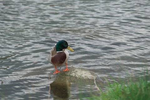 こういうとこ撮ってくださいよ!