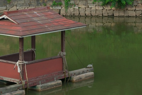 カメ小屋化しとる