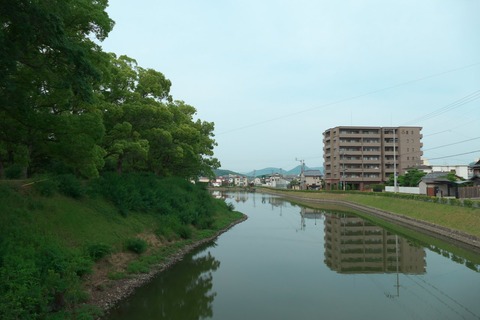 ここまでトリさんいらしゃらなかった…