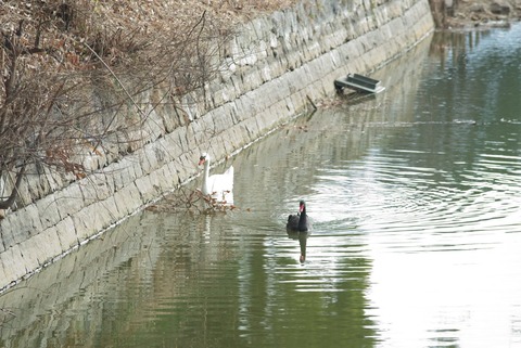 お~仲良くしとるかい?