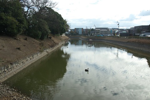 ただいまこんな感じ