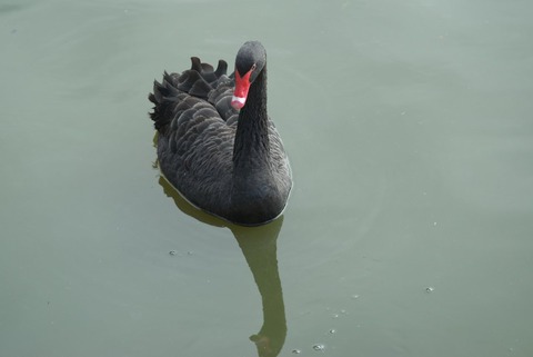 そんな瞳で見つめられても…