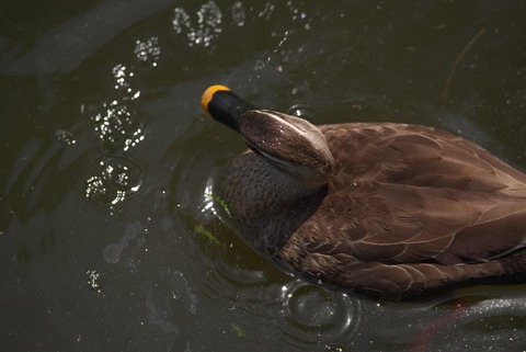 ていっ!ってしたくもなるわけですよ