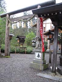 Shuraine