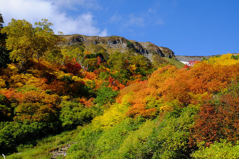 高根が原