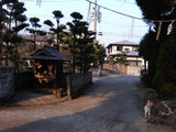 『北宮阿蘇神社』縁の祠?