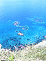 神威岬の蒼い海