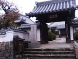 関宿(権現柿)