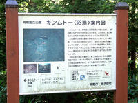 キンムトー看板