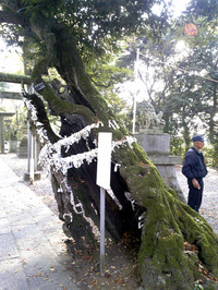 一言主神社(4)