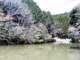 皿山生活環境保全林いこいの池