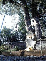 阿蘇北宮神社(3)