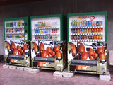 ラステンほらどの自販機(キウイ)