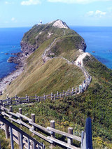 神威岬への道(全体像)