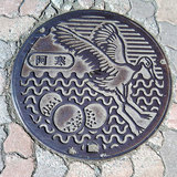 マンホール(丹頂とマリモ)