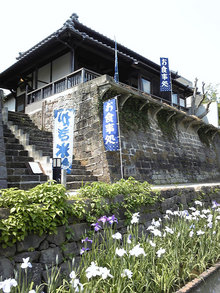 高瀬裏川花しょうぶ(4)