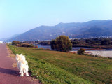 河川敷をお散歩