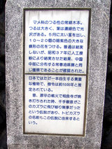 アイラトビカズラ(説明板2)