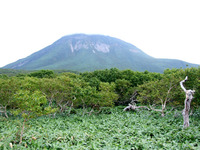 知床峠2010(3)