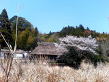 古民家、売り出し中