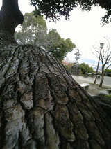 本妙寺公園(2)