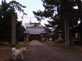 滝宮神社