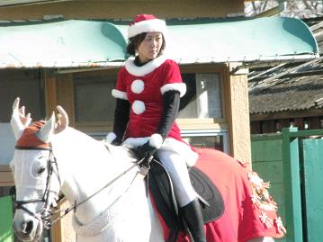 誘導馬&誘導員もクリスマス仕様