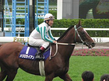 メジロライアン２