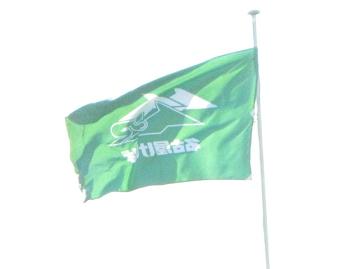 風が強かったです