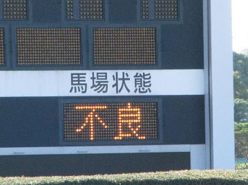 不良馬場でした