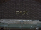 IMGP0792