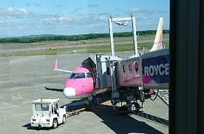 ピンク飛行機