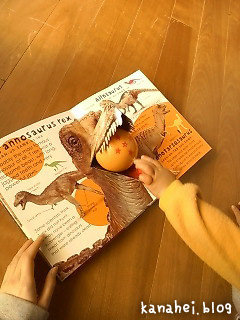 20090305093338 20090305093338