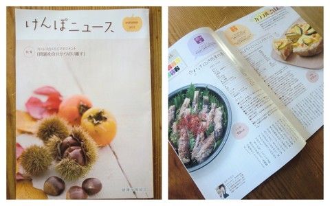 けんぽにゅーす秋