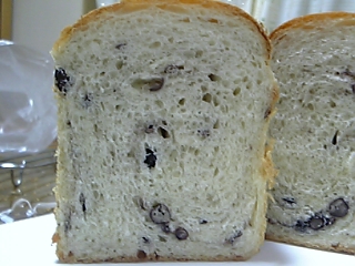 e4b61f80.jpg